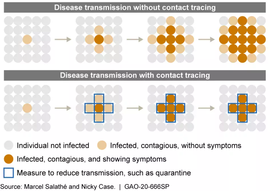 Graphic shows how disease transmission spreads with and without contact tracing
