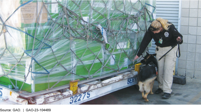 An inspector with a working dog screening green cargo boxes covered in plastic and behind a metal barrier.