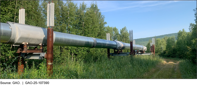 Aboveground Portion of the Trans-Alaska Pipeline near Fairbanks, Alaska