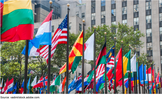 Dozens of different nations' flags outside a building