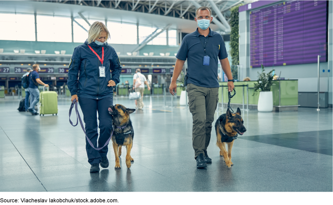 Two security workers with detection dogs in an airport terminal.