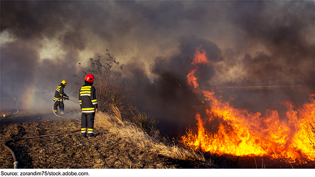 image of firefighters at a wildfire