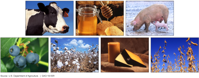 Photo collage of a cow, honey, pig, blueberries, cotton, cheese and soybeans.