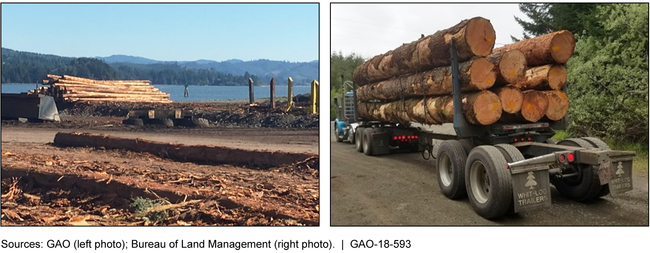 Logs at an Export Facility; Logs on a Truck