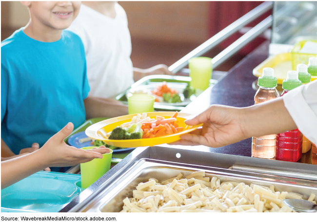 A school lunch worker handing a lunch plate to a child