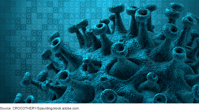 A digital image of a virus molecule in front of a blue background.