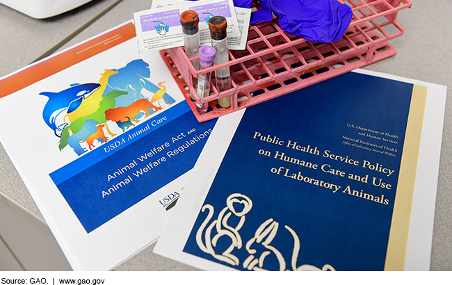 Photo of federal animal welfare policy documents, test tubes, gloves, and other lab equipment.