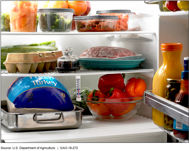 Photo of an open refrigerator showing different foods inside