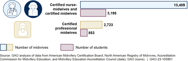Number of Midwives and Midwifery Students by Type of Midwife in 2021
