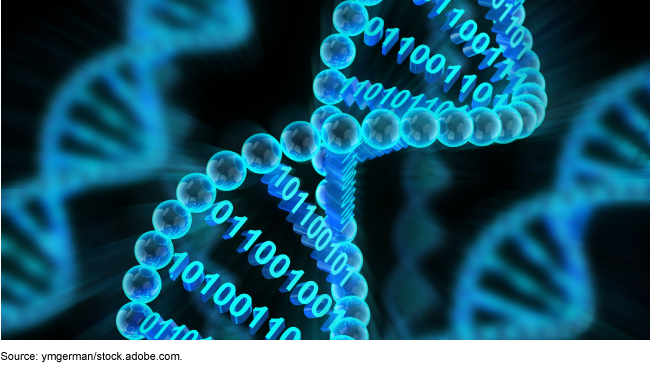 DNA binary data