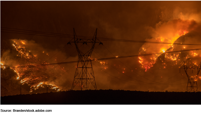 Forest fire near electricity towers