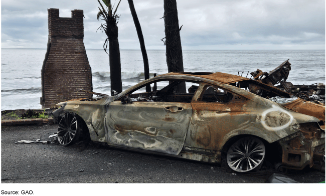 A burnt car next to trees and building structure that have burn damage.
