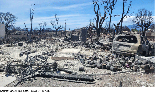 An image of wildfire debris in a residential area, including a burnt car, charred trees and the remnants of homes.