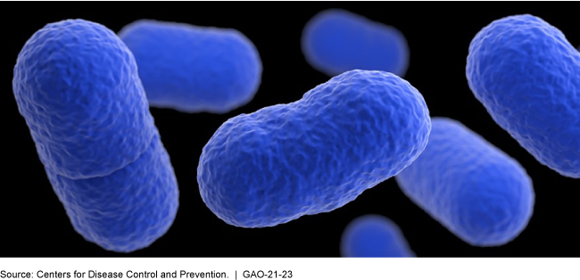 A computer-generated image/artist recreation of listeria organisms in royal blue with a black background.