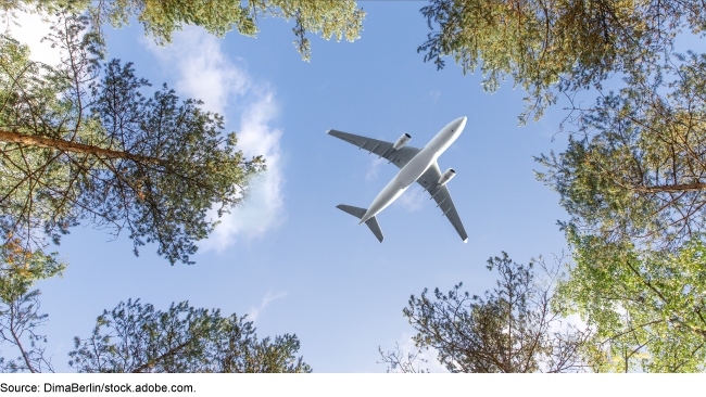 View from the ground, looking through the trees, of an airplane flying overhead.