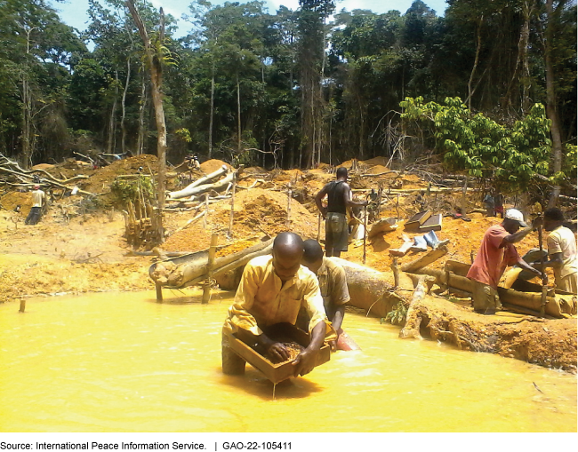 Congolese men mine for gold in a yellow pond surrounded by trees