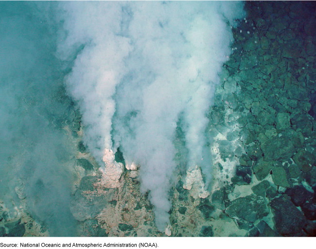 Deep-sea hydrothermal vents