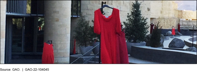 Artist Installation of Red Dresses to Depict the Disappearances and Deaths of Indigenous Women, the National Museum of the American Indian, 2019