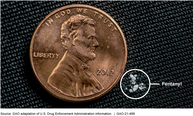 A lethal dose of fentanyl next to a U.S. Penny. The penny is larger.