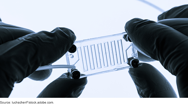 Organ-on-a-chip in a researcher’s hands