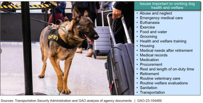 Working Dog Searching for Explosives at a U.S. Airport, and the 18 Issues That GAO Identified as Important to Working Dog Health and Welfare