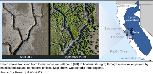 These are photos of a dry salt pond in 2008 with no vegetation and a shot of the same area in 2009 with extensive growth.