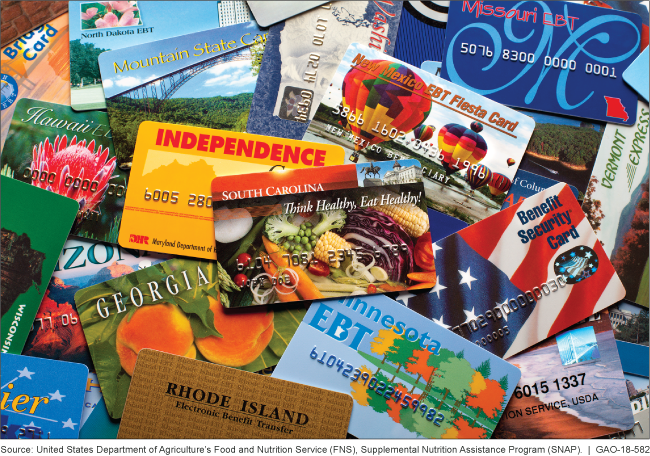 Collection of Supplemental Nutrition Assistance Program Electronic Benefit Transfer cards from various states.