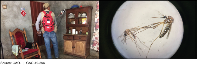 USAID-Supported Worker Collects Insects for Monitoring Purposes in a Home in Honduras (left), and Mosquito That Carries the Zika Virus Viewed under a Microscope (right)