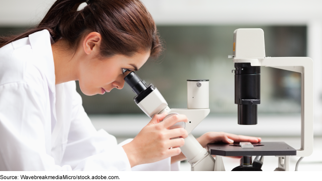 A scientist looks at a specimen under a microscope