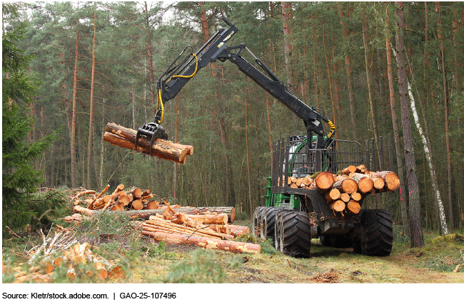 Forestry harvesting machine picking up cut logs in the woods