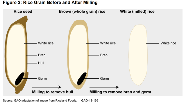 Figure 2: Rice Grain Before and After Milling