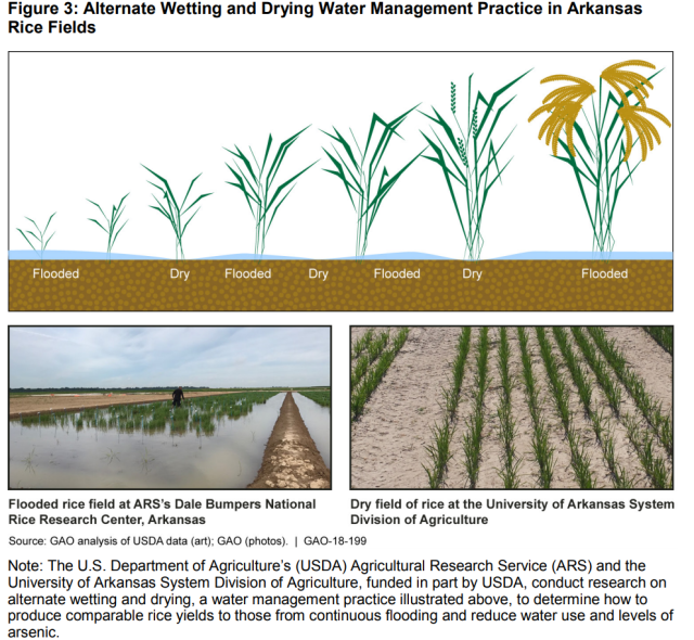 Figure 3: Alternate Wetting and Drying Water Management Practices in Arkansas Rice Fields