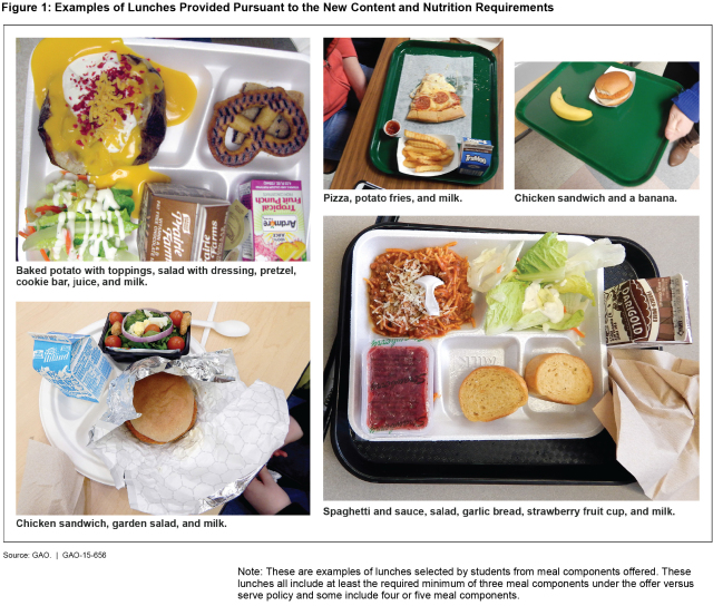 Figure 1: Examples of Lunches Provided Pursuant to the New Content and Nutrition Requirements