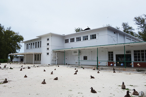 Figure 18: Theater of the Midway Mall Complex (Property No. 259), Midway Atoll, Sand Island (April 10, 2015, and April 17, 2015)