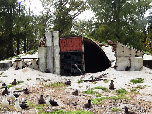 Figure 35: Armco Hut (Property No. S7125), Midway Atoll, Sand Island (April 15, 2015)