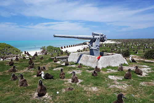 Figure 52: 3-Inch Anti-Aircraft Gun (Property No. E-1), Midway Atoll, Eastern Island (April 16, 2015)