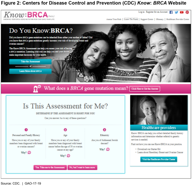 Figure 2: Centers for Disease Control and Prevention (CDC) Know: BRCA Website