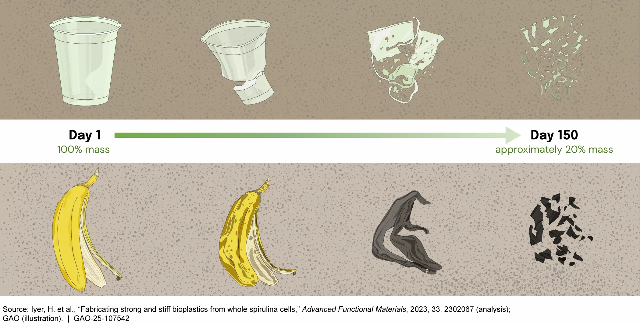 Artistic rendering showing a timeline comparing bioplastic degradation to a banana peel in soil.