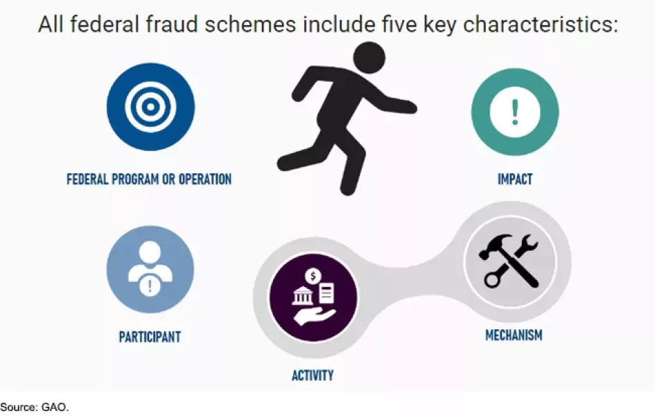 Illustration of the types of fraud schemes perpetuated against federal programs. 