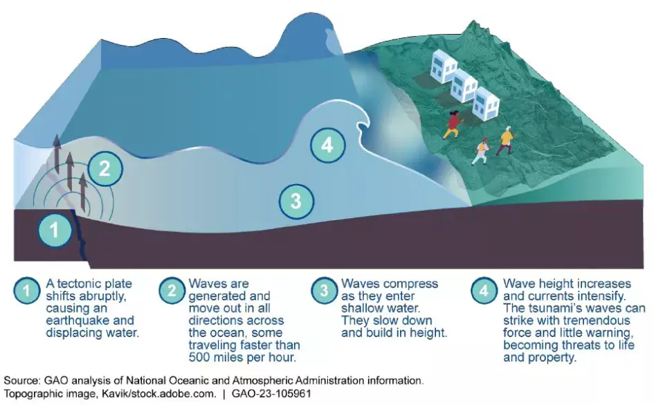 Illustration showing how Tsunamis occur and turn into big waves