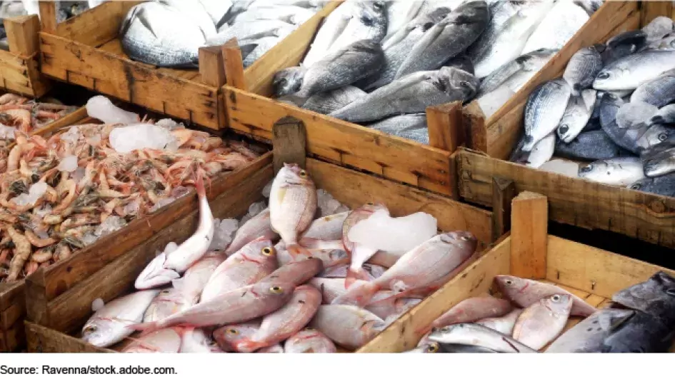 Photo showing crates of different fish in a fish market.