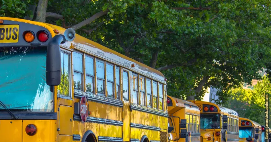 Photo showing a line of yellow school buses on a fall day.