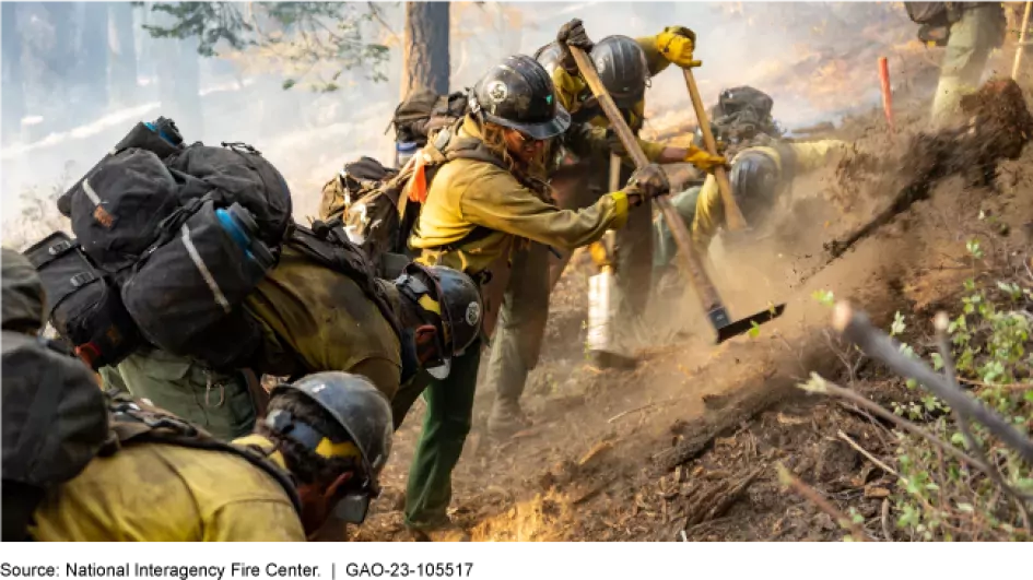 Photo showing federal wildland firefighters in their firefighting gear working to slow a fire in a forest. 