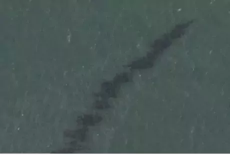 NOAA aerial photo showing oil spill in Gulf of Mexico after Hurricane Ida (2021)