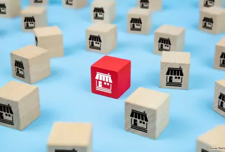 Illustration of franchising. Shows identical children's building blocks, one of which is red.