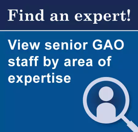 Find an expert! View senior GAO staff by area of expertise