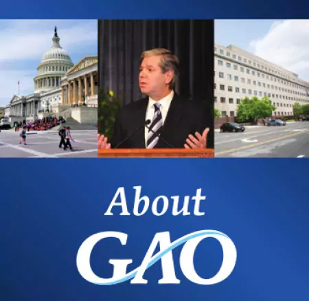 GAO Brochure Cover