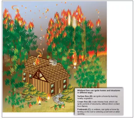 Wildland Fire Management