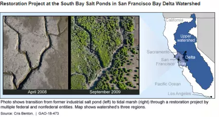 Restoration Projects at the South Bay Salt Ponds in San Francisco Bay Delta Watershed