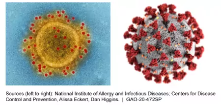 Two images of types of coronaviruses. 